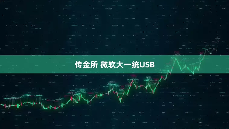 传金所 微软大一统USB