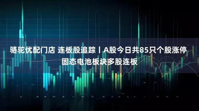 骆驼优配门店 连板股追踪丨A股今日共85只个股涨停 固态电池板块多股连板