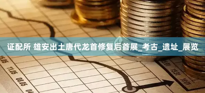 证配所 雄安出土唐代龙首修复后首展_考古_遗址_展览