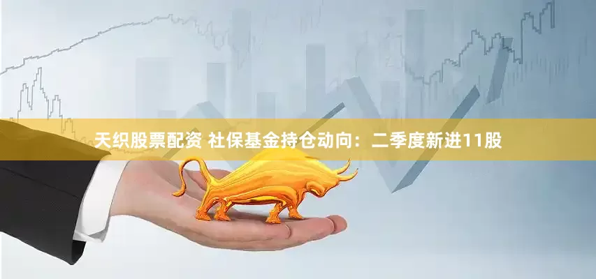 天织股票配资 社保基金持仓动向：二季度新进11股