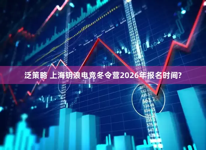 泛策略 上海钥浪电竞冬令营2026年报名时间?
